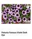 Famous Violet Dark Eye 31 фото 1